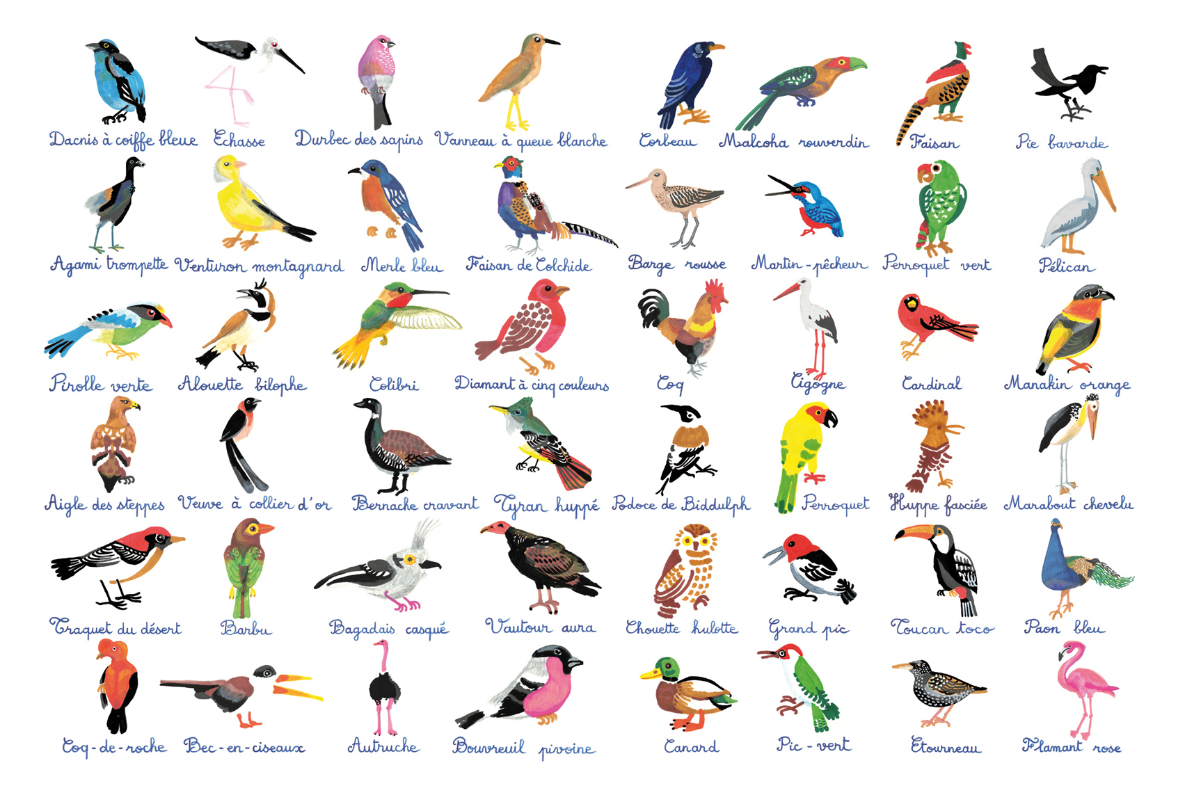 Illustrissimo :: Les Oiseaux